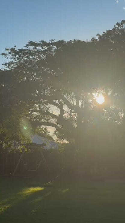 Tallow Mosquito Balm & Natural Insect Repellent